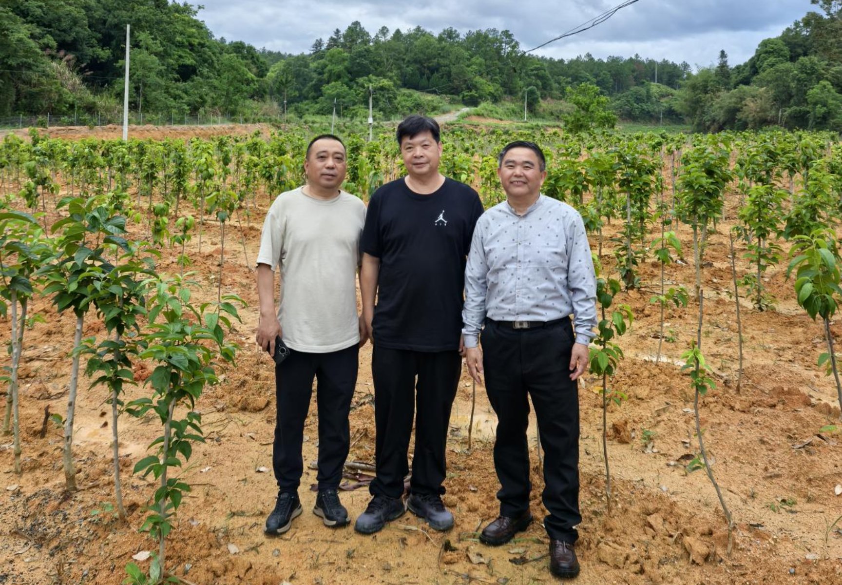 杜仲实验室专家赴广东河源开展实地引种试种技术指导工作