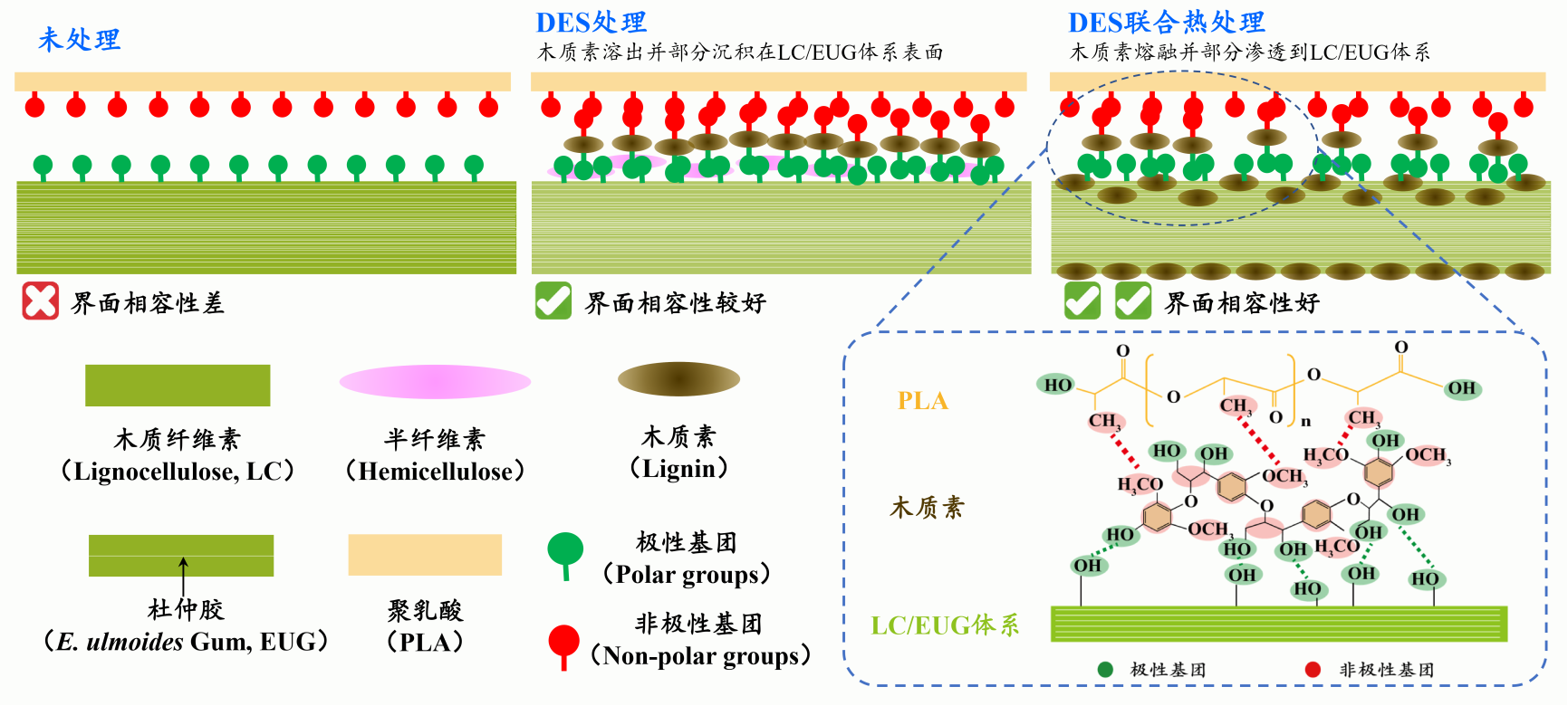 我室杜仲胶材料应用研究项目获2026年国家自然科学基金资助